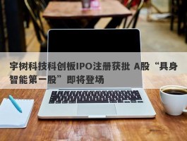 宇树科技科创板IPO注册获批 A股“具身智能第一股”即将登场