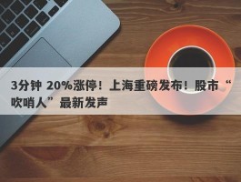3分钟 20%涨停！上海重磅发布！股市“吹哨人”最新发声