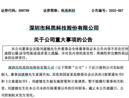 多家上市公司公告：董事“出事”