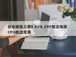 创业板指上涨0.43% ERP概念领涨 CPO概念走强