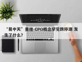 “易中天”重挫 CPO概念罕见跌停潮 发生了什么？