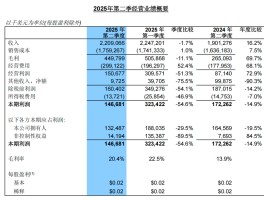 国产芯片重磅!中芯国际、华虹公司同日公布业绩