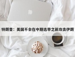特朗普：美国不会在中期选举之前攻击伊朗