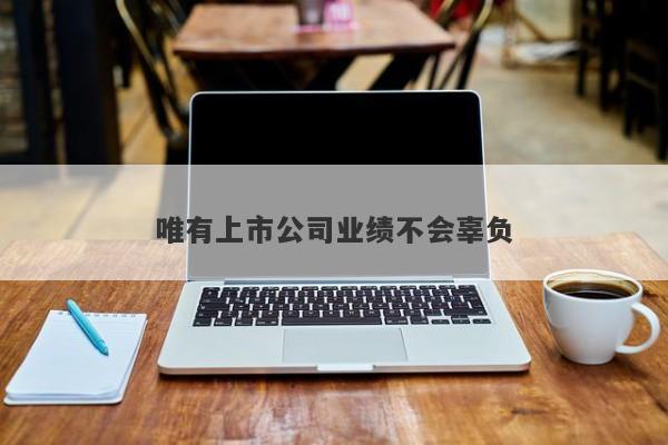 唯有上市公司业绩不会辜负 唯有上市公司业绩不会辜负