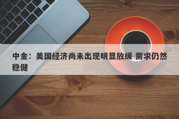 中金:美国经济尚未出现明显放缓 需求仍然稳健 中金:美国经济尚未出现明显放缓 需求仍然稳健