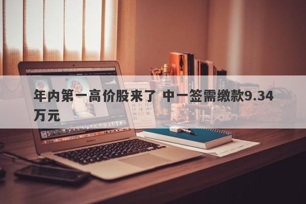 年内第一高价股来了 中一签需缴款9.34万元 年内第一高价股来了 中一签需缴款9.34万元